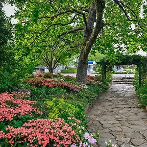 Nesuto Leura Gardens